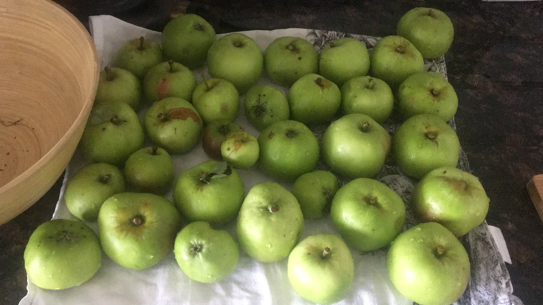 Eating Seasonally: How Apples Helped Me Flow with October
