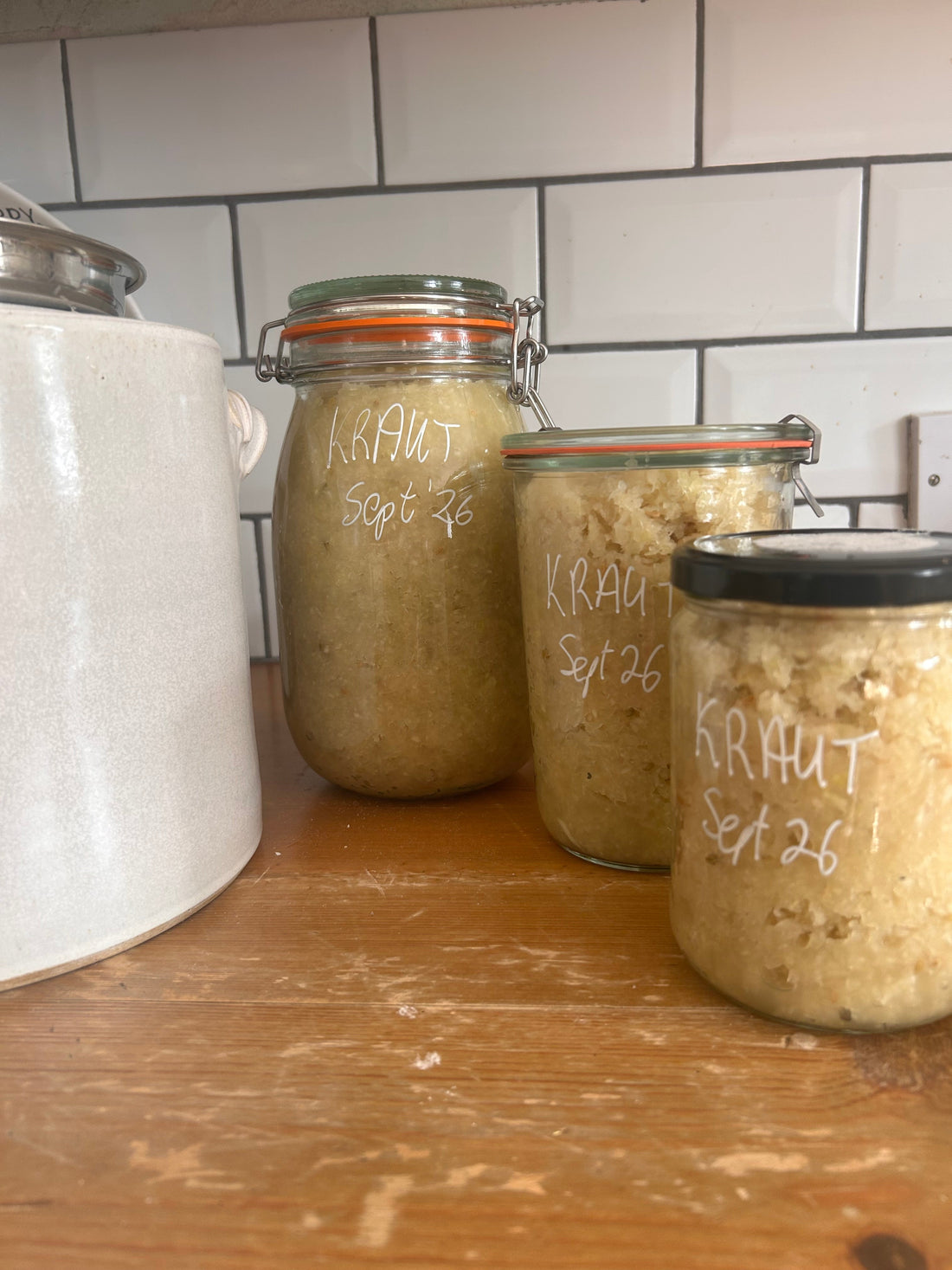 Sauerkraut for Beginners: The Oldest Act of Trust in Nature